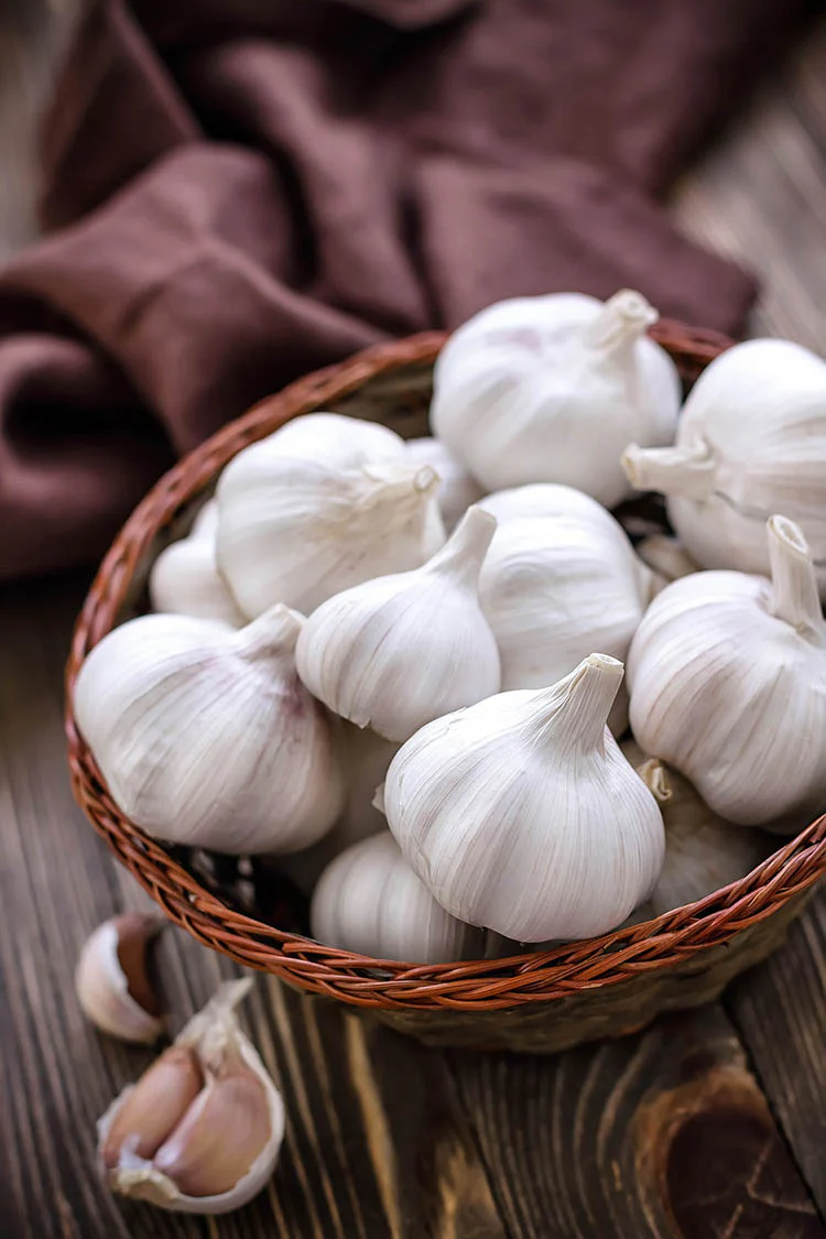 Malai Garlic