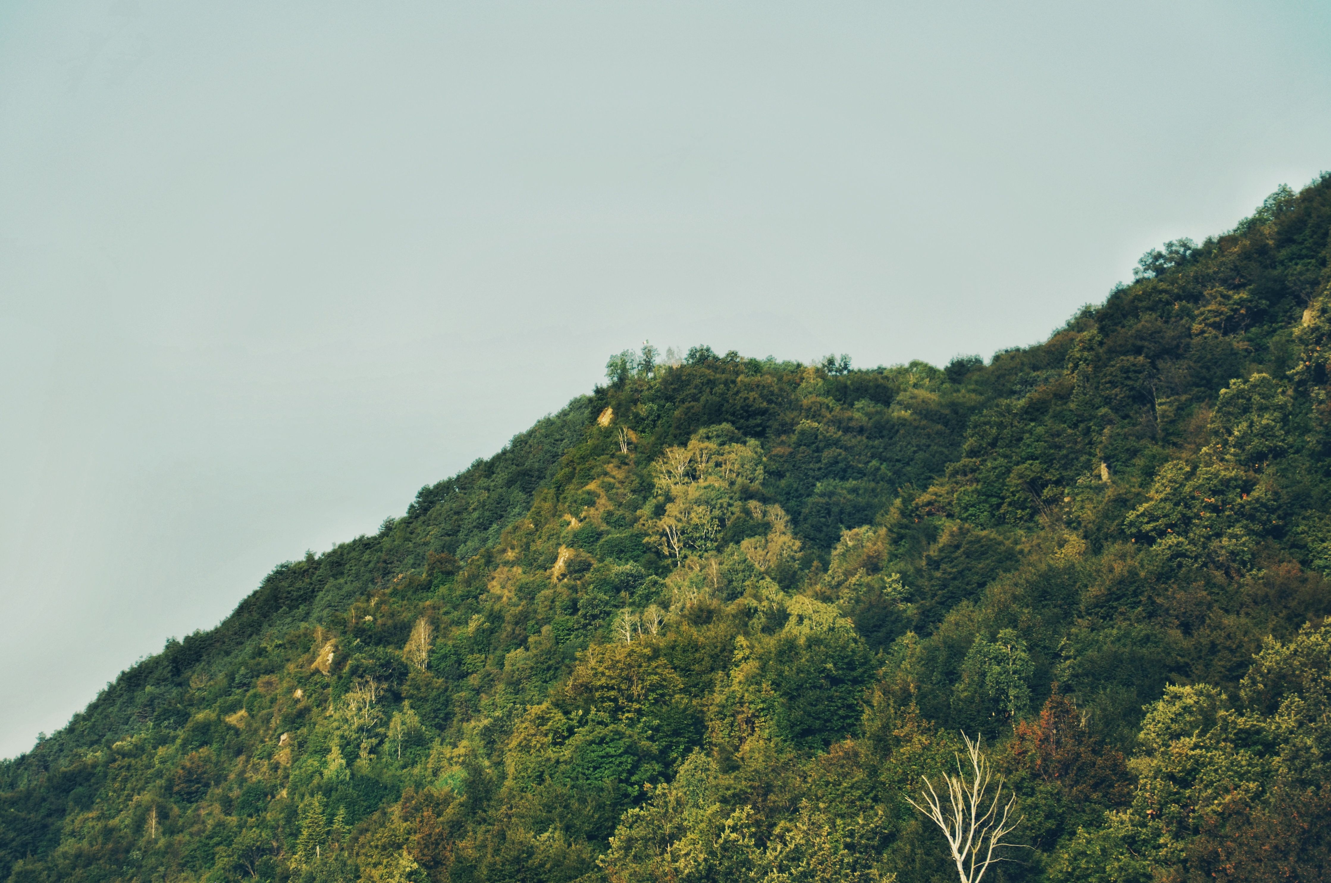 Mountain Background